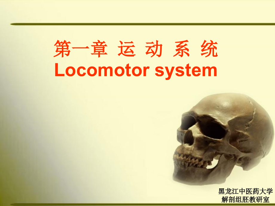 正常人体解剖学骨学1_第1页