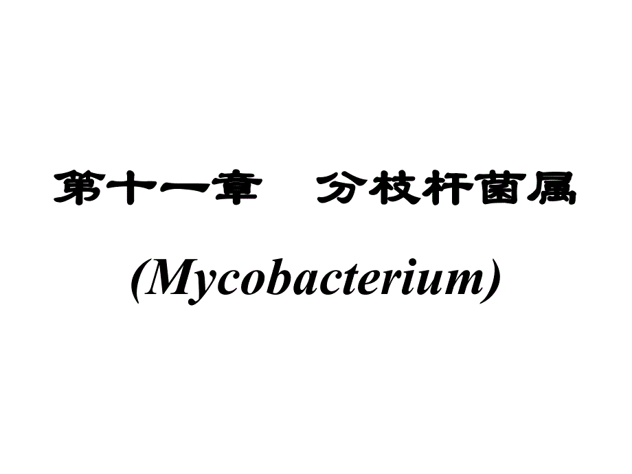 分枝杆菌属Mycobacterium_第1页