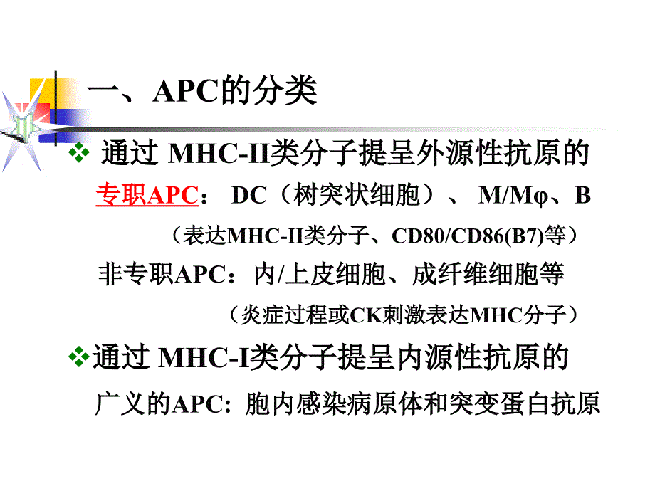 cp11抗原提呈细胞与抗原的处理及提呈_第4页