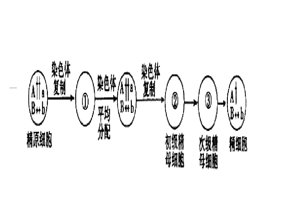 sy9现代生物进化理论一轮复习_第1页