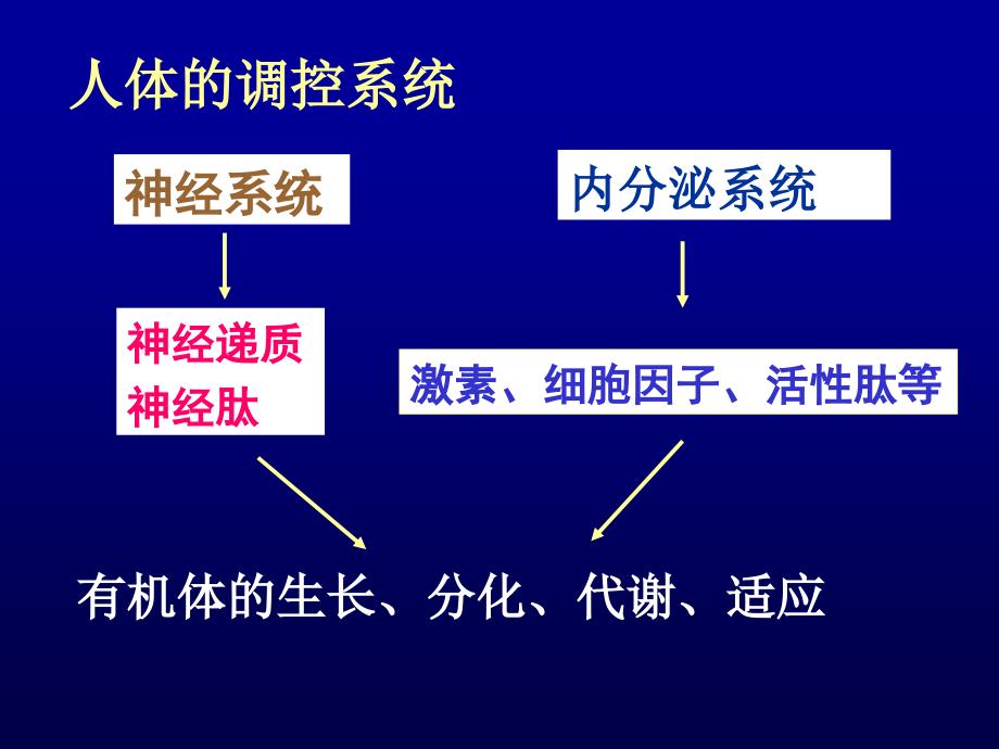 二军大-受体信号传导与疾病1信号转导_第4页