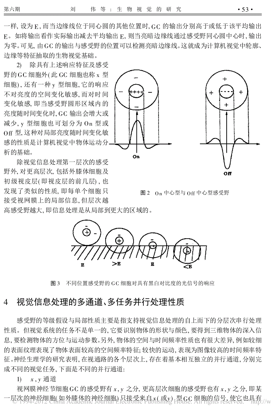 生物视觉的研究_第3页