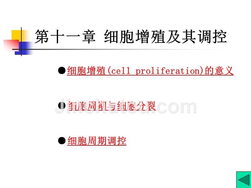 细胞增殖及其调控_第1页