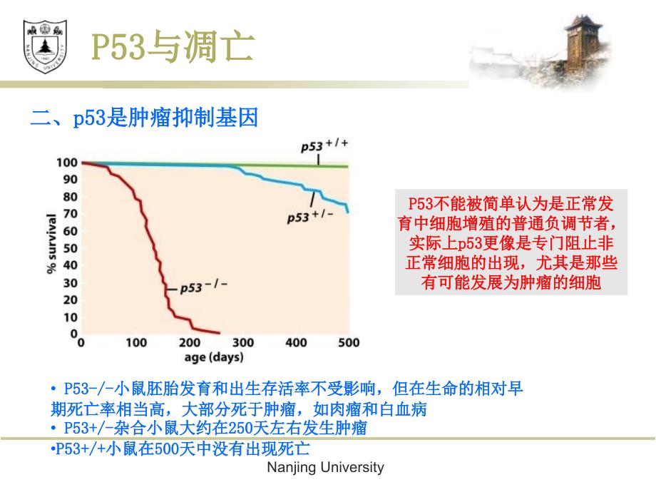 癌生物学--p53与凋亡_第4页