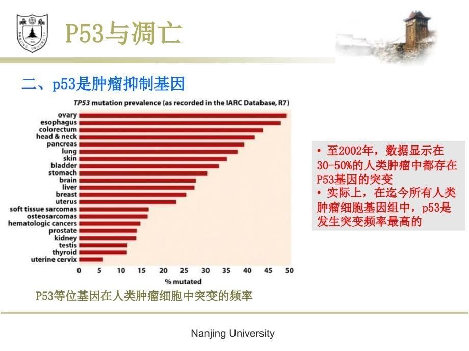 癌生物学--p53与凋亡_第5页