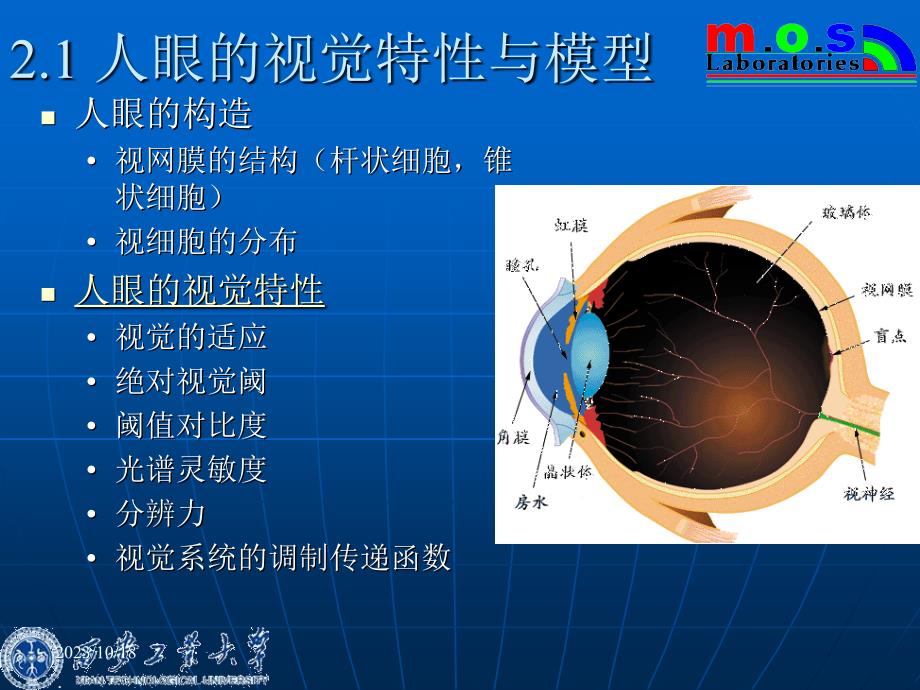 C人眼的视觉特性与图像探测_第3页