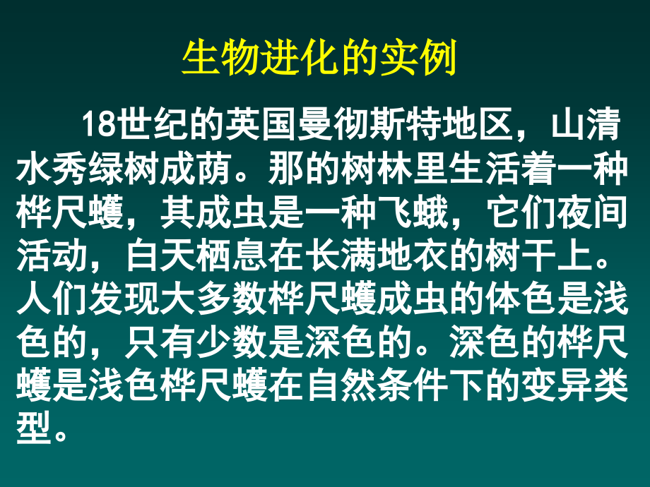 人教版生物八年级下册733生物进化的原因课件共71张_第4页