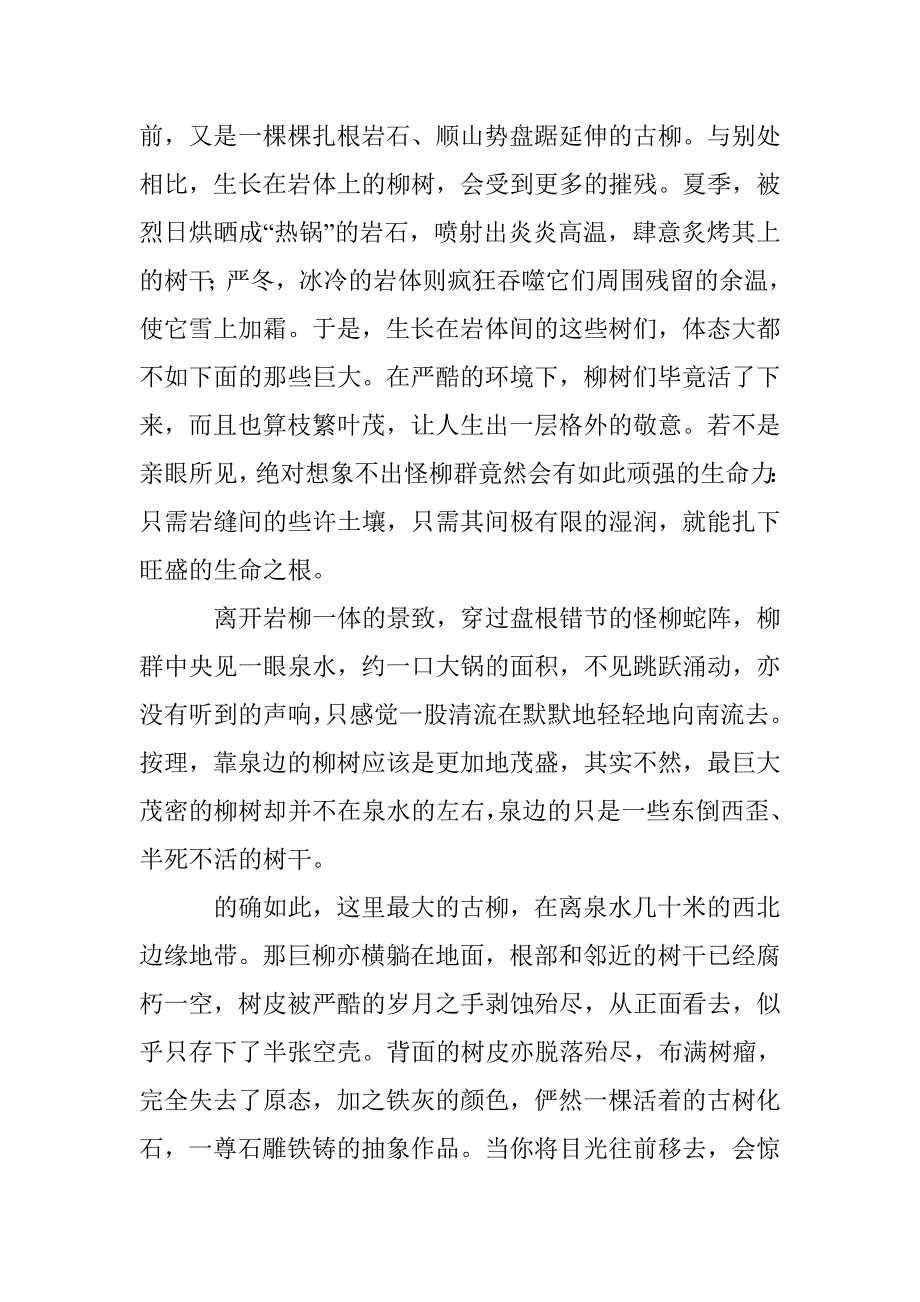 哈拉峻-东神西仙怪柳群_第3页