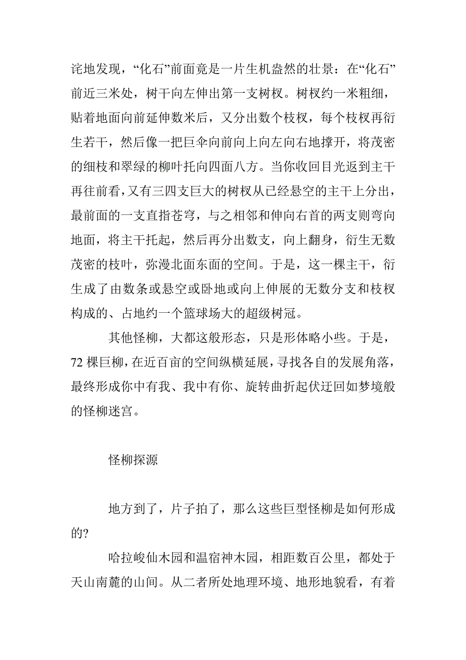 哈拉峻-东神西仙怪柳群_第4页