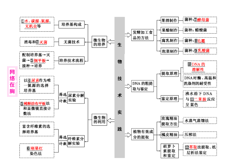 2017届《三维设计》高考生物通用版二轮配套课件专题5生物技术系统58张_第2页