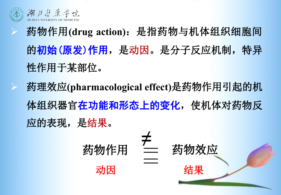 药理学药效学2014年护理专业_第4页