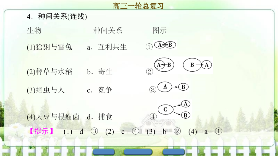 2017届高三生物人教版一轮复习课件必修3群落的结构和演替_第4页