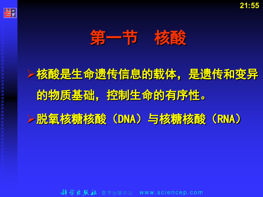 教学遗传的分子基础高校精品_第3页