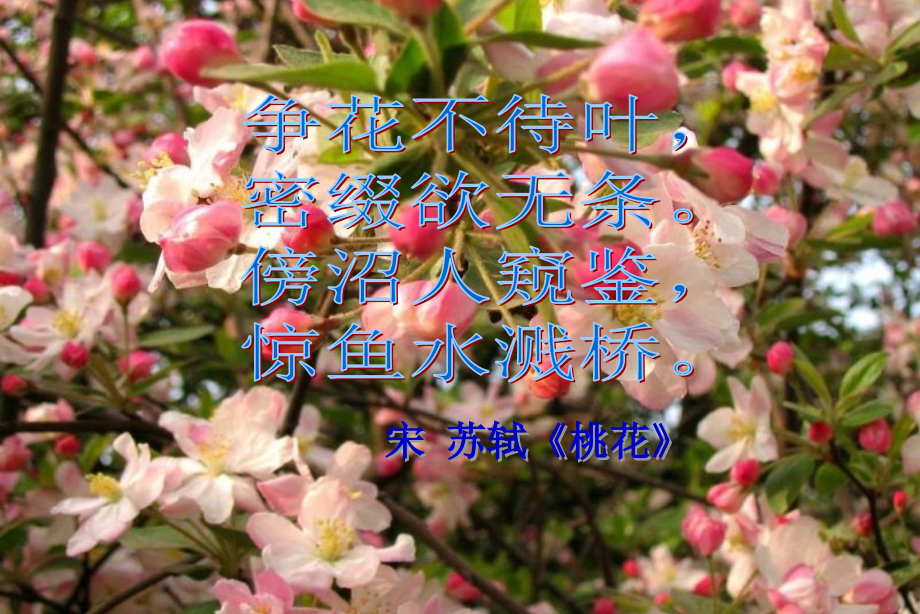 基因工程的基本条件-载体系统_第1页