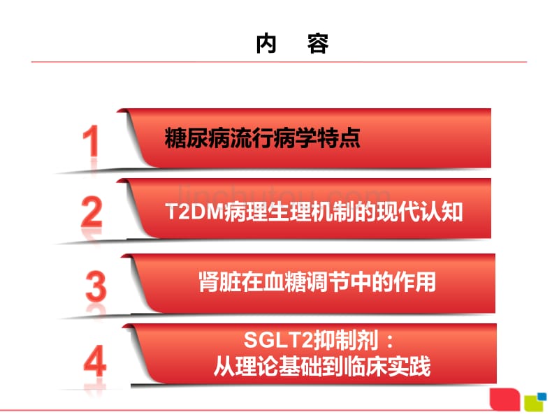 2型糖尿病的现代认知与SGLT2抑制剂的作用机制_第2页