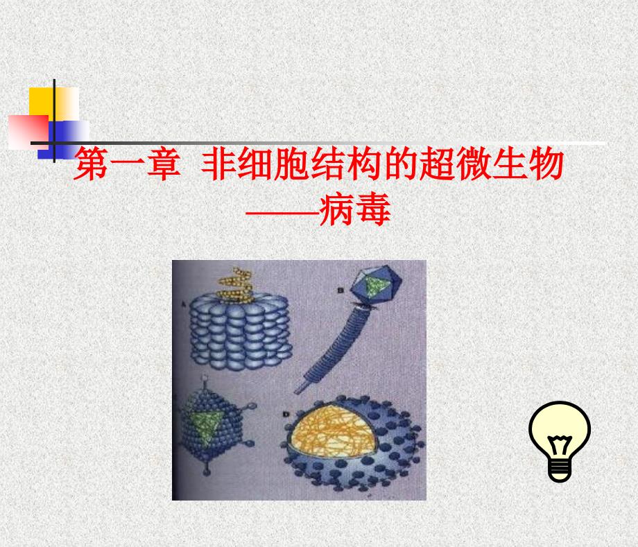 非细胞结构的超微生物——病毒_第2页