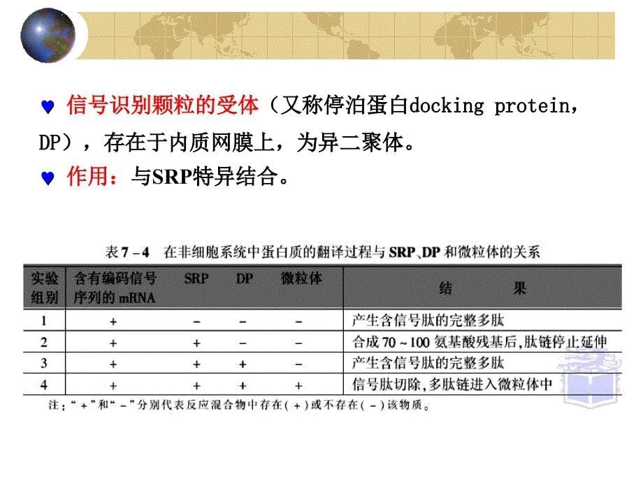 蛋白质的分选与膜泡运输_第5页