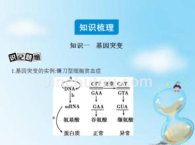 2016届高三生物第一轮复习基因突变与基因重组课件新人教版_第2页