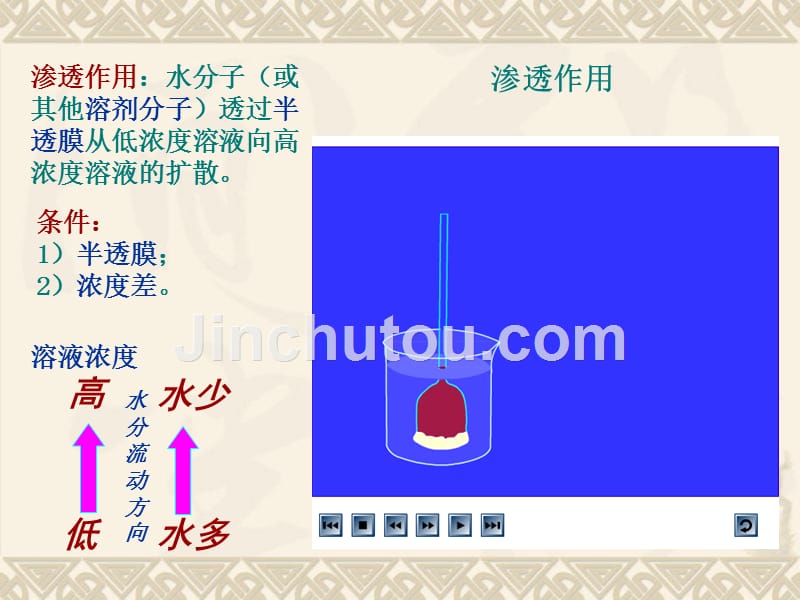 2015高中生物一轮复习细胞的物质输入和输出_第4页