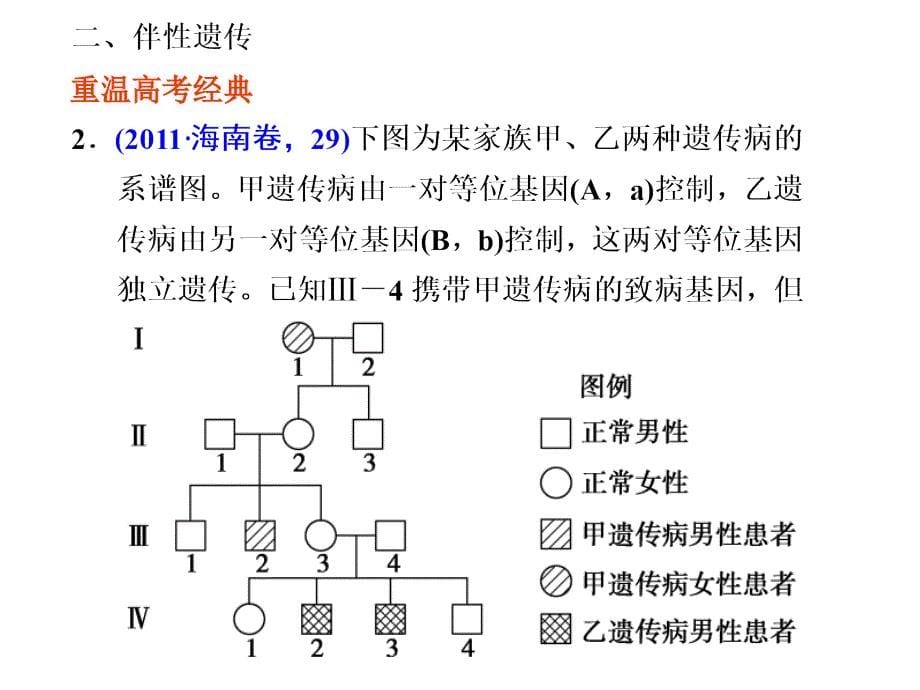 高三生物课件专题四遗传的基本规律与伴性遗传_第5页