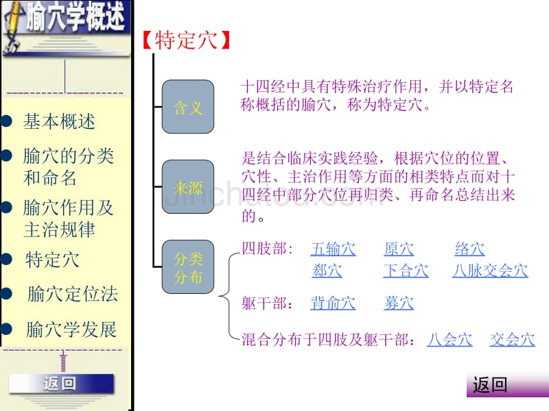 输穴总论与特定穴_第2页