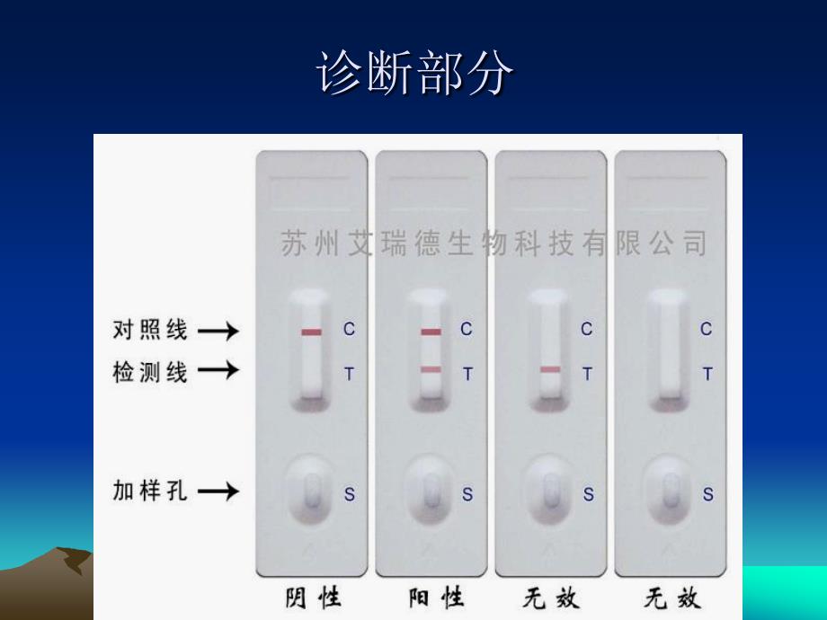 动物疾病诊疗过程-兽医学概论动物科学专业使用_第2页