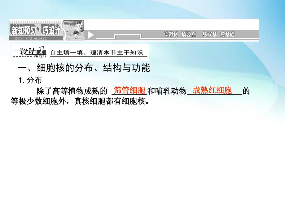 天成教育2016年高中生物必修一同步课件细胞核—系统的控制中心_第2页