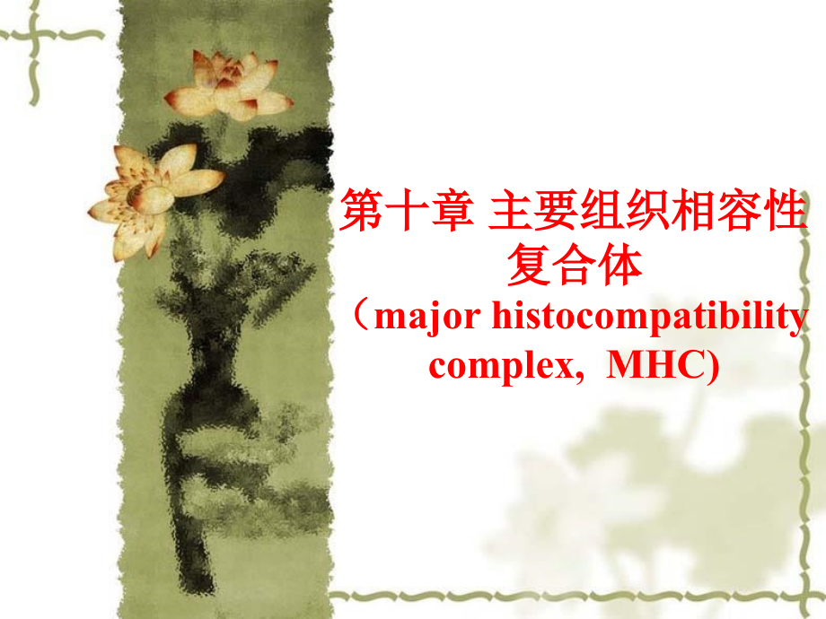 医学免疫学MHC新_第1页