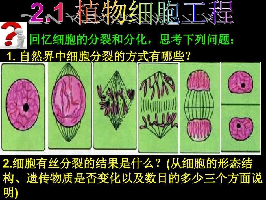 植物细胞工程DJYZ的禁用_第5页