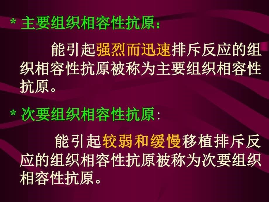 主要组织相容性复合体及其编码分子_第5页