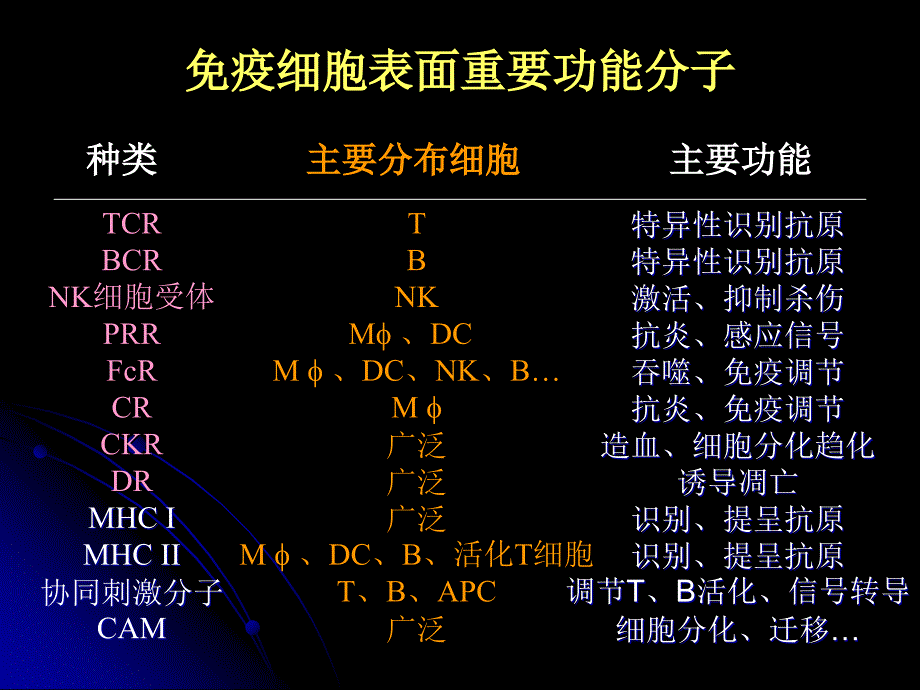 医学免疫学7白细胞分化抗原和黏附分子_第3页