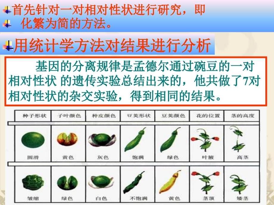 高中生物非常全面杂交实验一_第5页