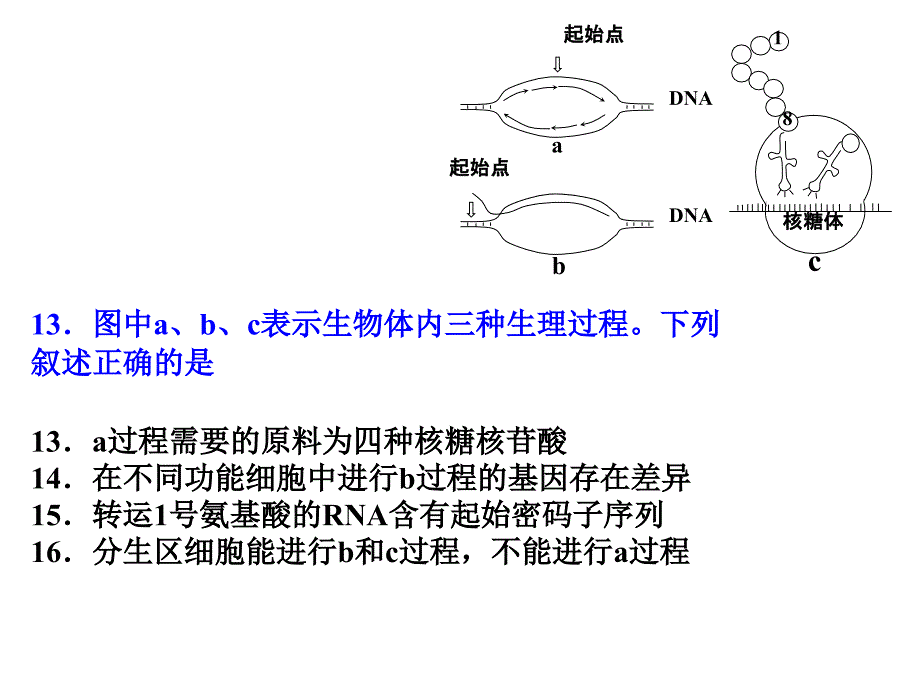 2015西城区高三生物试卷讲评_第4页