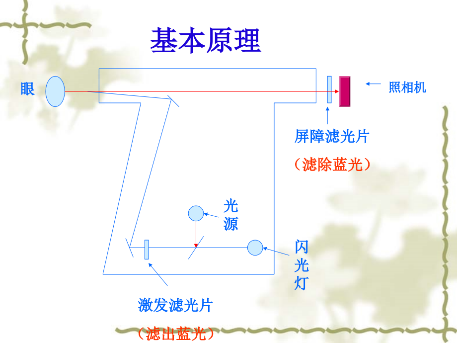 眼底荧光血管造影术FFA总论_第3页