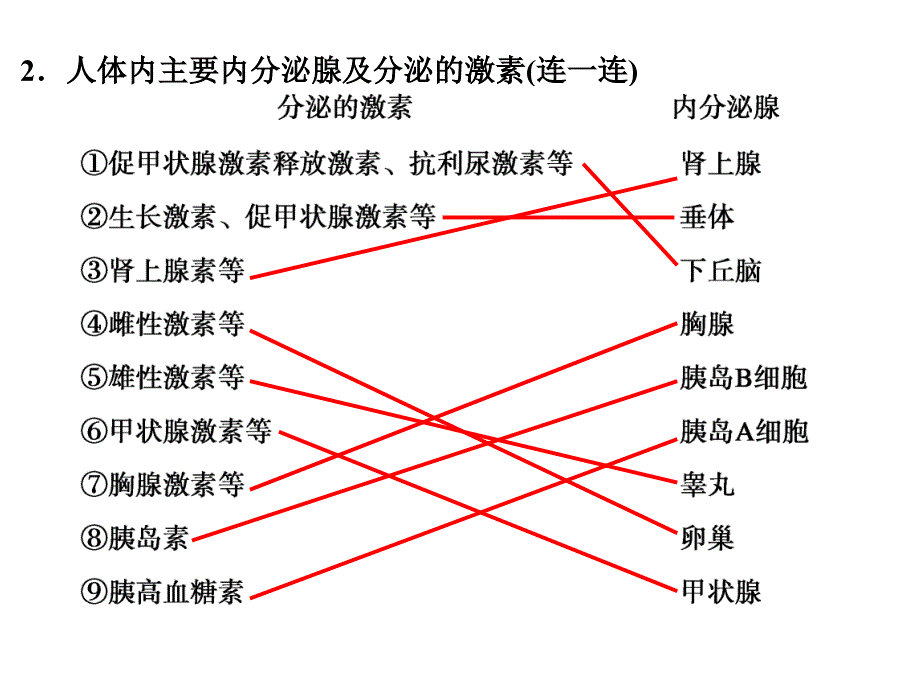 通过激素的调节神经调节与激素调节的关系_第3页