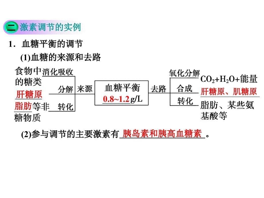 通过激素的调节神经调节与激素调节的关系_第5页