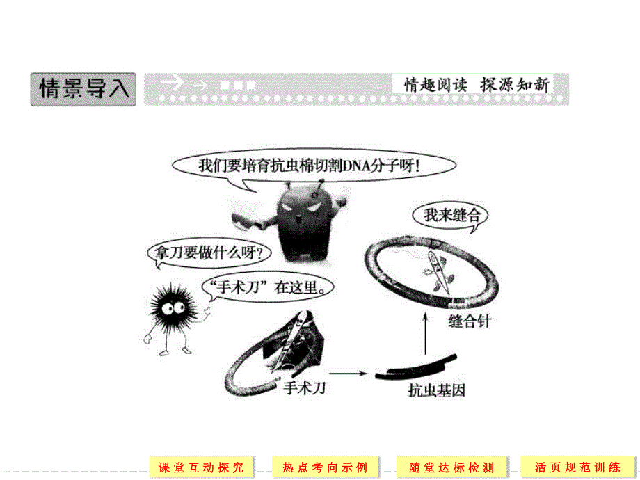 DNA重组技术的基本工具课件(2)_第3页