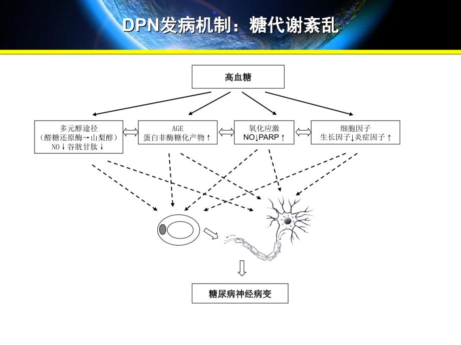 2014-MD-02木丹颗粒防治糖尿病周围神经病变研究_第3页