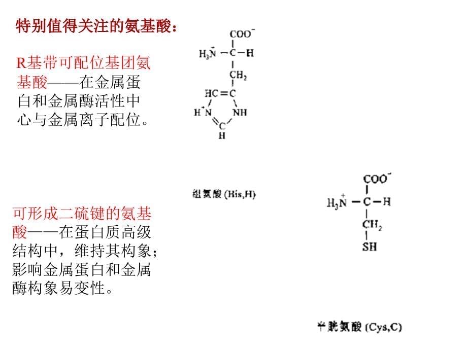 生物无机化学-2009_第5页