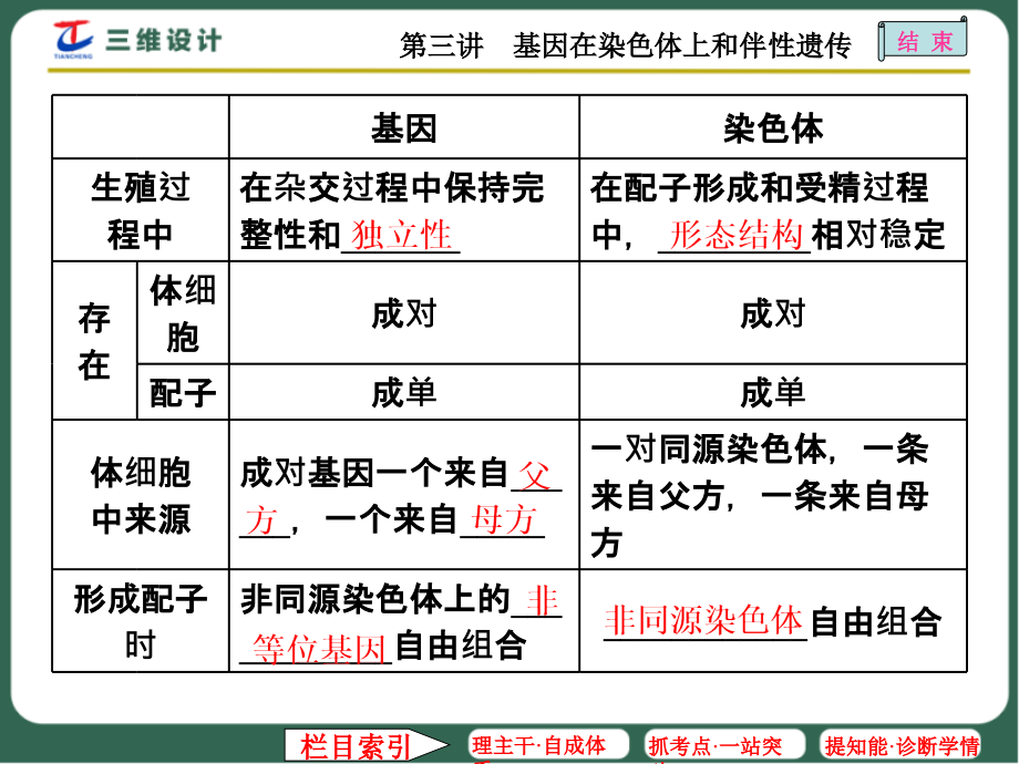 T3基因在染色体上和伴性遗传_第2页