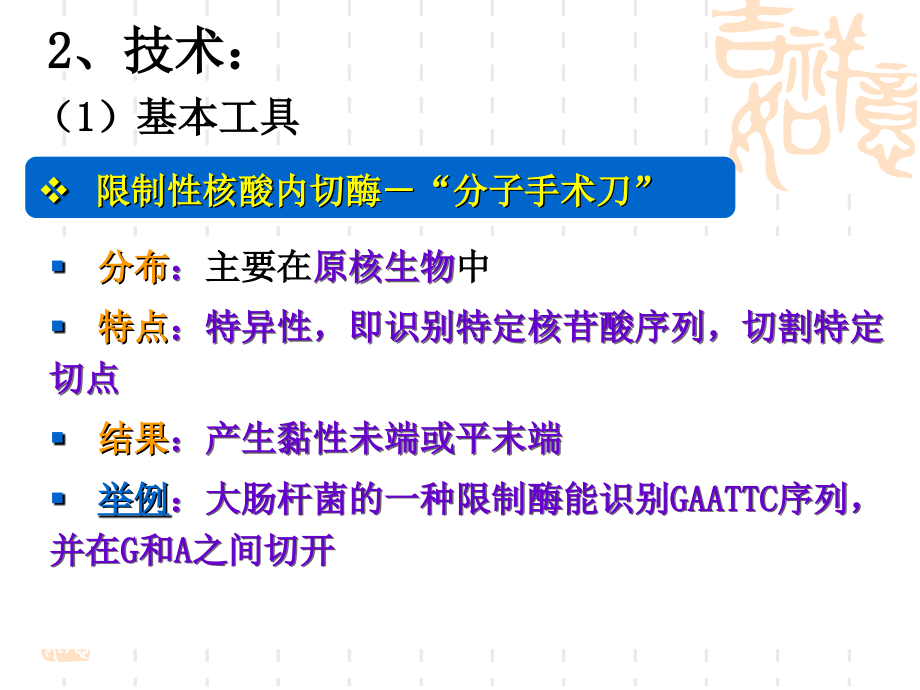 高三生物一轮专题复习精品课件——选修专题——基因工程_第3页