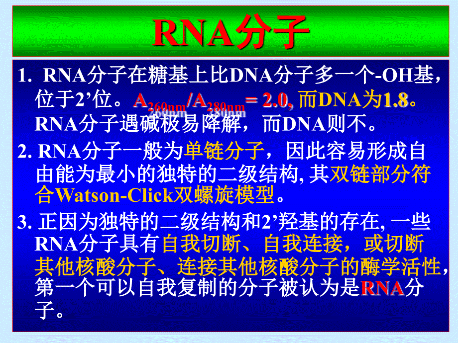 核酸化学3-RNA的结构和特性_第2页