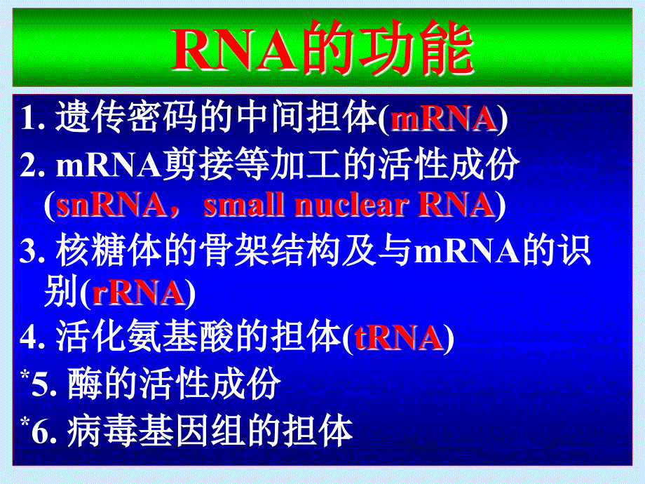 核酸化学3-RNA的结构和特性_第4页