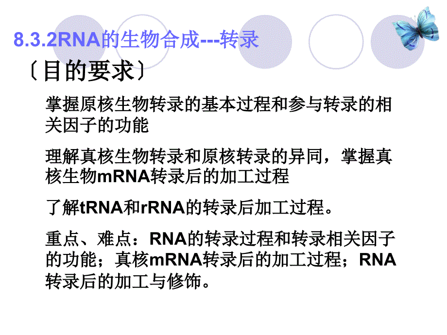 核酸代谢3--转录与加工2011_第2页