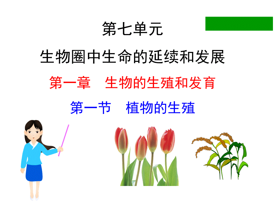 植物的生殖精品课件_第1页