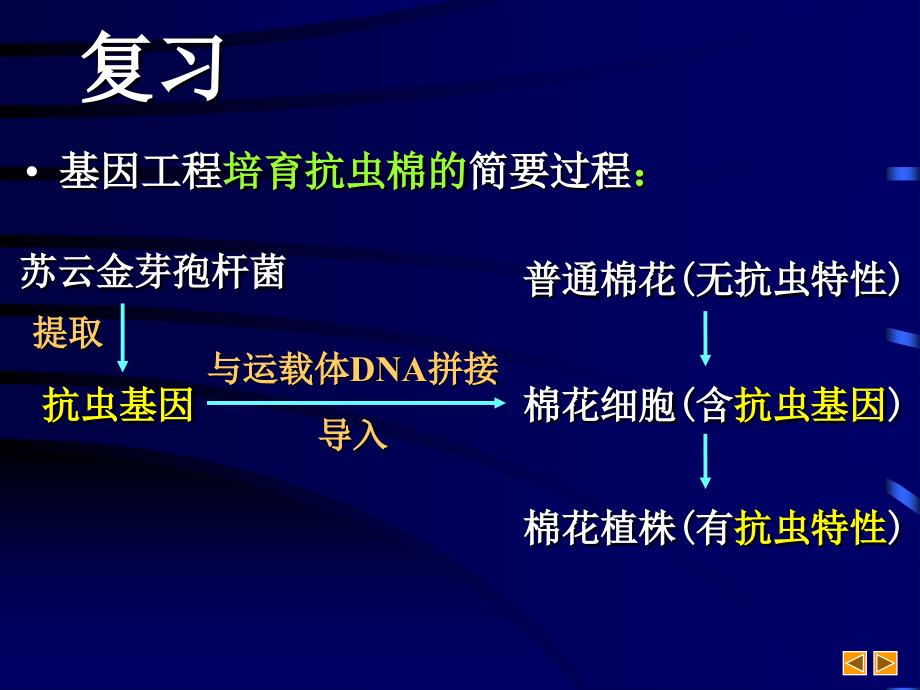 高中生物基因工程课件_第4页