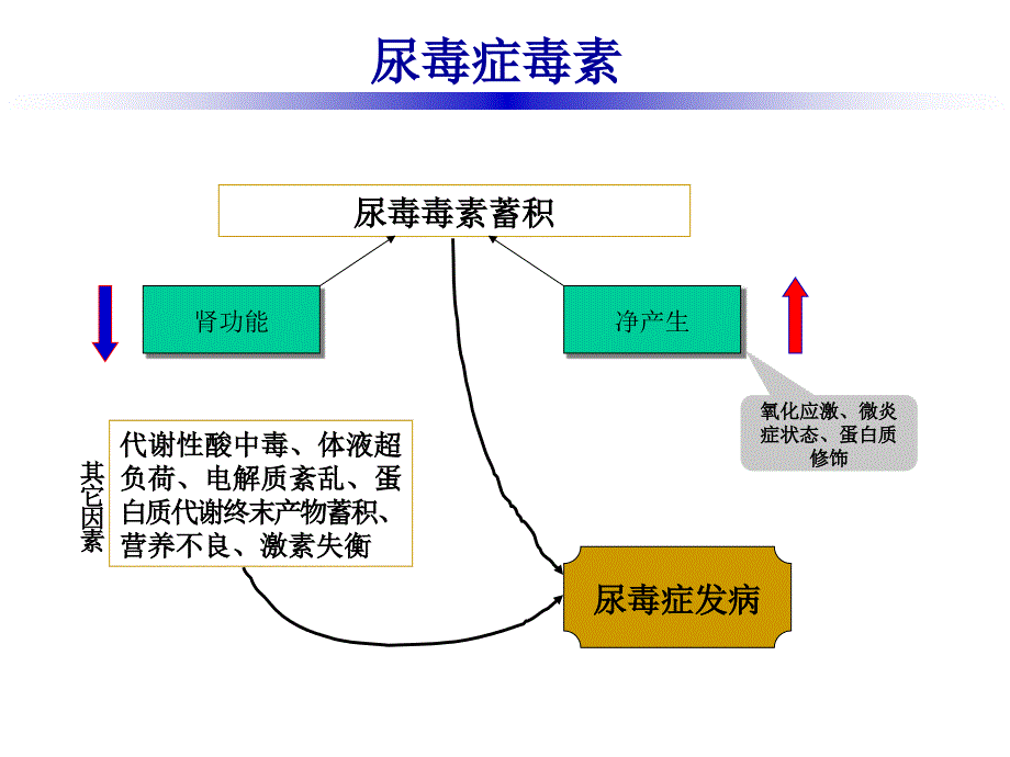 李俪专家尿毒症的危害有哪些_第3页