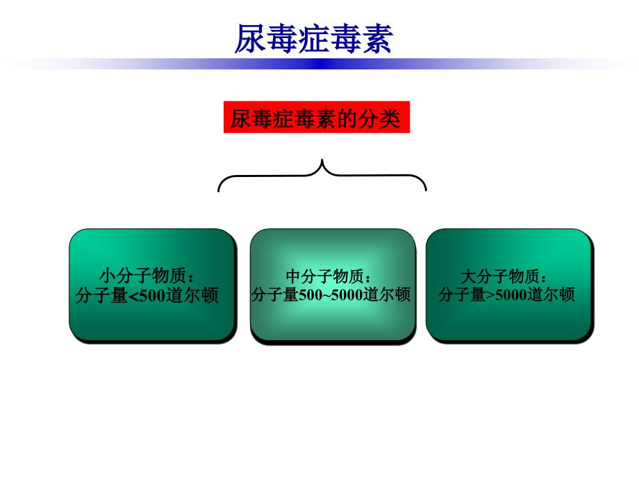 李俪专家尿毒症的危害有哪些_第5页