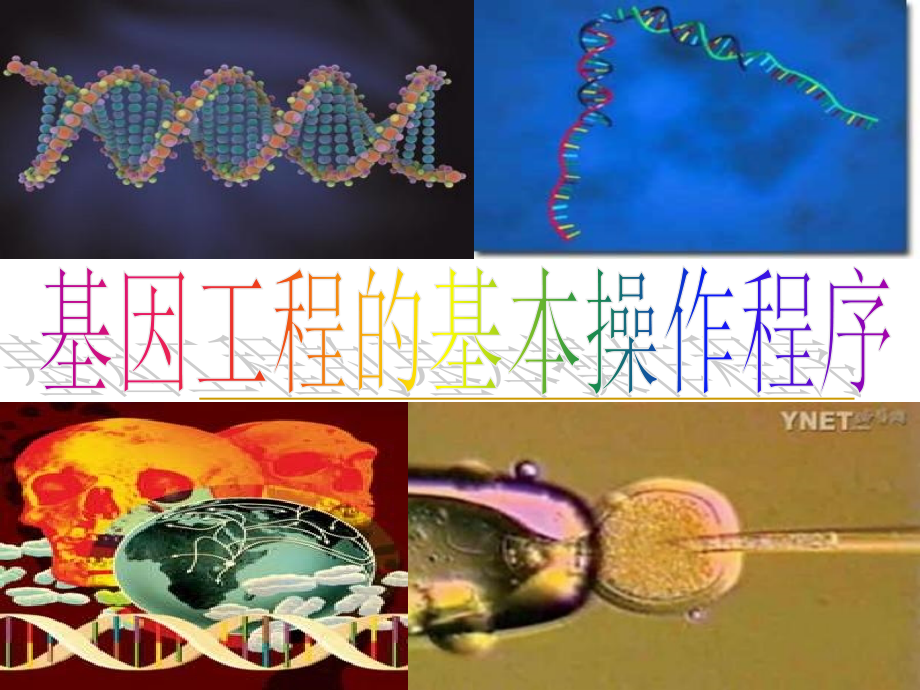 基因工程的基本操作程序使用修改_第1页