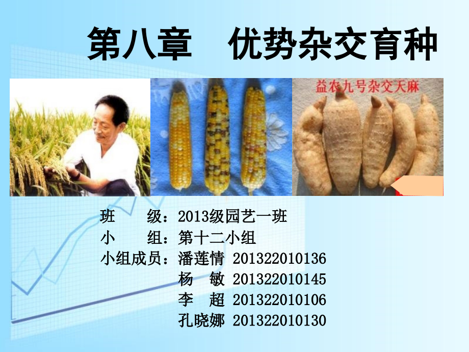 第十二组优势杂交育种_第1页